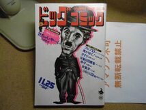 ビッグコミック 1972/11/25 昭和47年　花ちゃん・や～い/久保俊也　うるとらShe/女狼牙/四魔鬼/奇子/馬がゆく/ゴルゴ13＜無断転載禁止＞_画像1