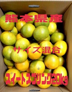 熊本県産スイートスプリング20kg☆