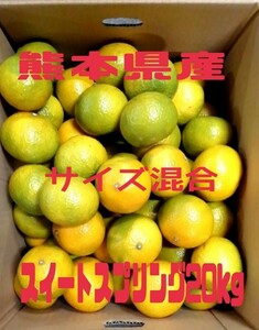 熊本県産スイートスプリング20kg