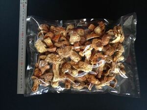 乾燥アガリクス茸☆３００ｇ☆絶対お得☆お値打品！