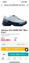 Salomon XT-6 GORE-TEX Blue Printサロモン XT-6 ゴアテックス ブループリント 27.5cm 箱無し 中古 美品_画像10