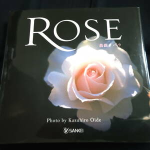 ROSE 薔薇・バラ