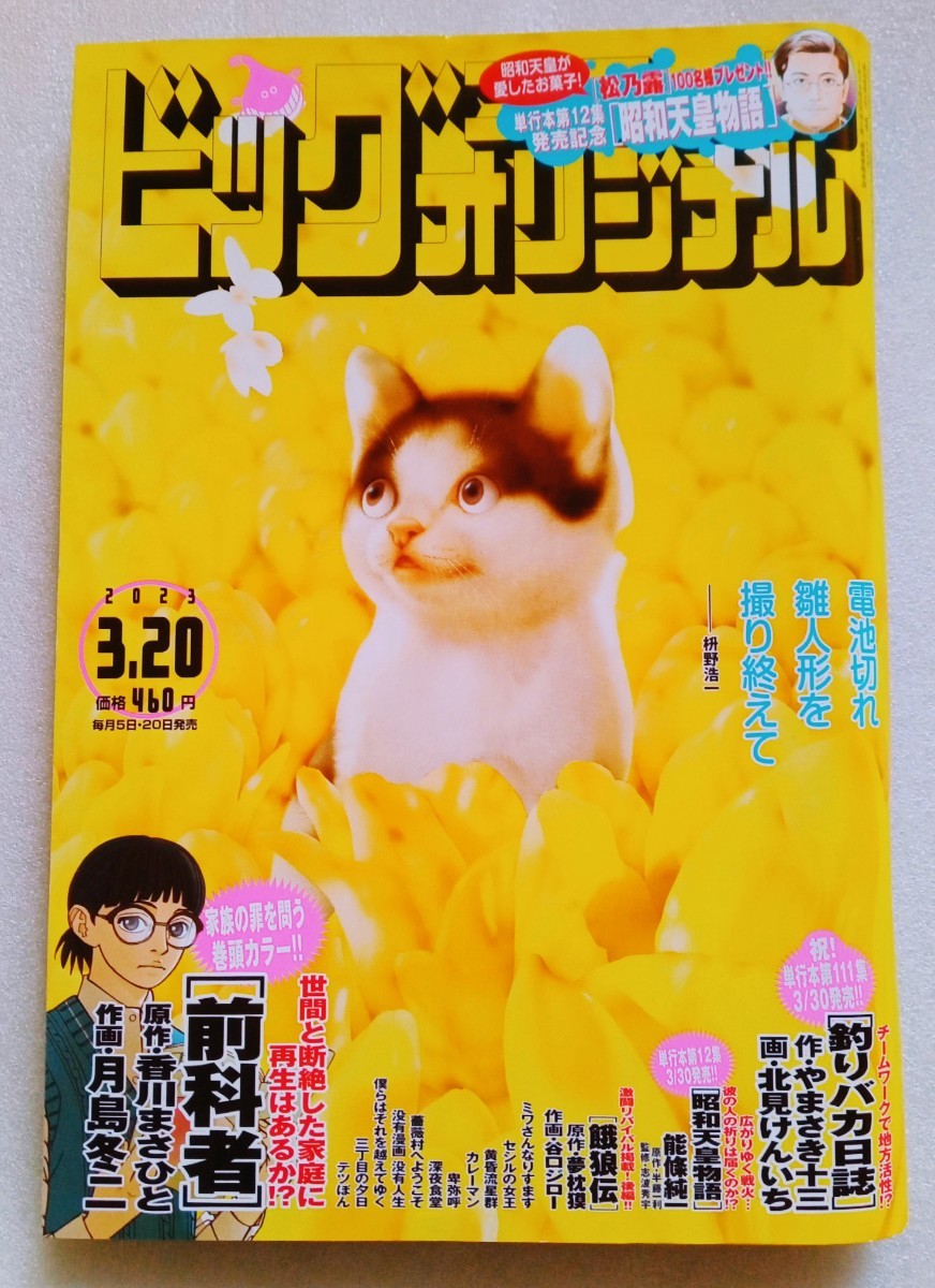 Big Comic Original March 20, 2023 No.1466 Battery Dead After Photographing the Hina Dolls Koichi Masuno, Men's comic magazines, Men's comic magazines, Big Comic