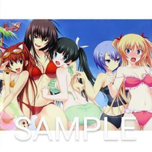 真剣で私に恋しなさい!S 水着集合バージョン A1サイズ お風呂ポスター B賞
