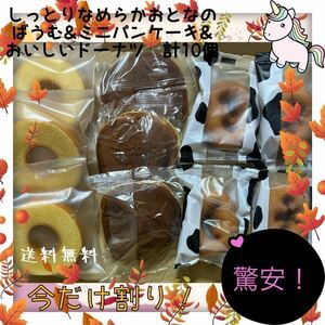 【数量限定】しっとりなめらかおとなのばうむ&ミニパンケーキ&おいしいドーナツ　計10個入り　早い物勝ち！お買い得！おすすめ商品！