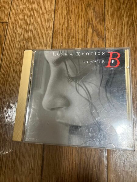 スティービーB CD