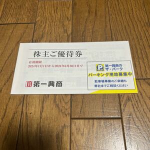 第一興商 ビックエコー 株主優待券 5000円(500円x10枚) 最新 送料無料