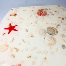 【おしゃれな便座】トイレ　飾り便座　貝殻　アクリル樹脂製 ビーチ_画像6