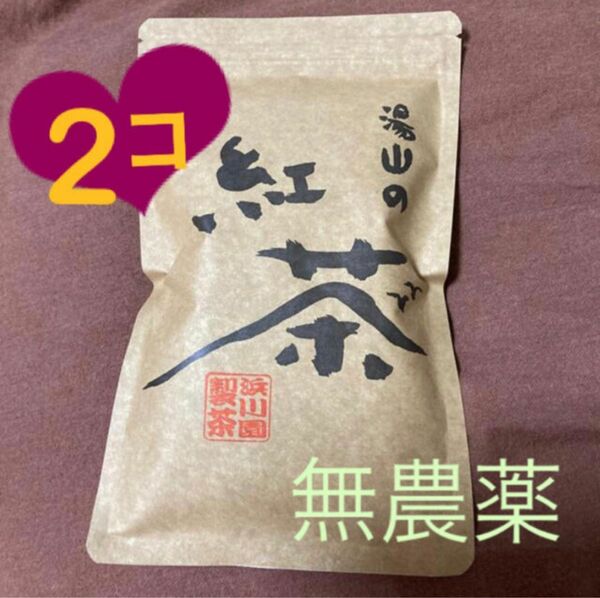 無農薬 和紅茶 国産 100g 2点 オーガニック 紅茶キノコにも