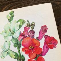 ドイツの古い植物図鑑(BALKONPFLANZEN 1976年)/アンティーク ヴィンテージ 植物画 花 洋書 ボタニカルアート インテリア 紙物 雰囲気◎ /_画像10