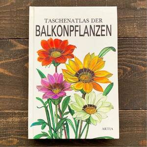 ドイツの古い植物図鑑(BALKONPFLANZEN 1976年)/アンティーク ヴィンテージ 植物画 花 洋書 ボタニカルアート インテリア 紙物 雰囲気◎ /