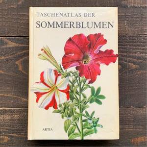 ドイツの古い植物図鑑(SOMMERBLUMEN 1977年)/アンティーク ヴィンテージ 植物画 花 洋書 ボタニカルアート インテリア 紙物 雰囲気◎ /