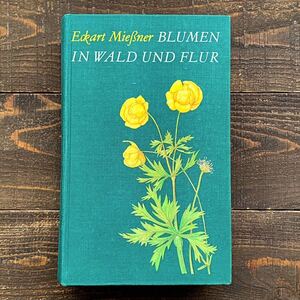 東ドイツの古い植物図鑑(BLUMENM IN WALD UND FLUR 1966年)/アンティーク ヴィンテージ ヨーロッパ 植物画 花 洋書 ボタニカルアート 美品/