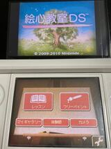 DS ソフト ニンテンドーDS 絵心教室DS DS眼力トレーニング 絵心教室 眼力 りんご ソフトのみ 2本セット 教育 勉強 中古 起動確認済 即決_画像7