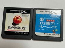 DS ソフト ニンテンドーDS 絵心教室DS DS眼力トレーニング 絵心教室 眼力 りんご ソフトのみ 2本セット 教育 勉強 中古 起動確認済 即決_画像2