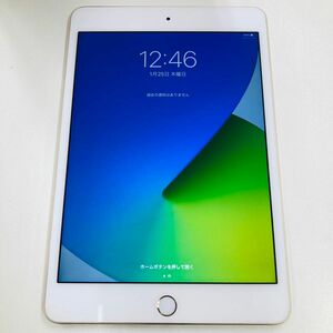 Apple iPad mini 4 16GB Wi-Fiモデルアイパッド