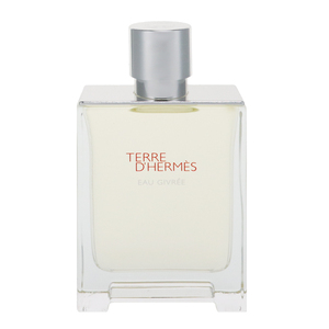 テール ドゥ エルメス オージヴレー (テスター) EDP・SP 100ml 香水 フレグランス TERRE D HERMES EAU GIVREEE TESTER 新品 未使用