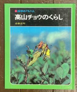 【即決】科学のアルバム /高山チョウのくらし/斎藤嘉明/あかね書房 /児童書/蝶/昆虫/生態/本/北アルプス/山登り