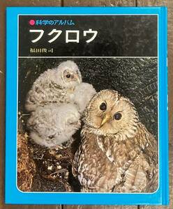 【即決】科学のアルバム /フクロウ/福田俊司(著)/あかね書房 /ふくろう/生態/本/児童書