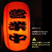 提灯 居酒屋 肴【2個セット】45cm×25cm 文字両面 ちょうちん 赤 レギュラーサイズ/13Π_画像4