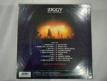 LD・ZIGGY ２枚/ALL THAT ZIGGY Ⅱ　ALL or NATHING_画像3