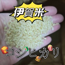 値下げ888→799円！新米！玄米！お試し【令和5年産】三重県 伊賀米 コシヒカリ 1.5㎏_画像6