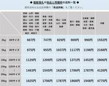 ◎学研 株主優待◎科学復刊第4弾 近未来の乗り物「空飛ぶクルマ」(3300円相当)　科学体験キット/学研の化学/組立キット/Gakken/未開封/知育_画像5