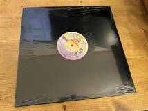12”★Soul For Real / Candy Rain / Heavy D / New Jack Swing ！_画像3