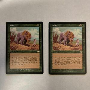 2枚セット：日本語《開墾/Clear the Land》[MMQ] 緑R MTG