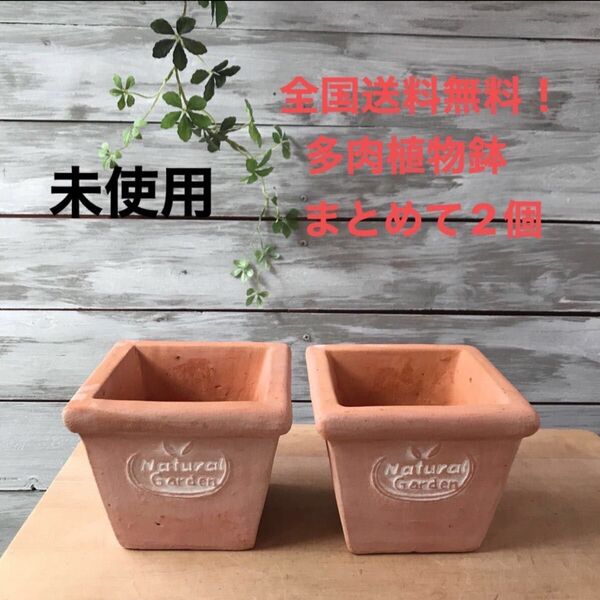 未使用品【まとめて2個】素焼きテラコッタ鉢 スクエア型 寄せ植え多肉植物鉢