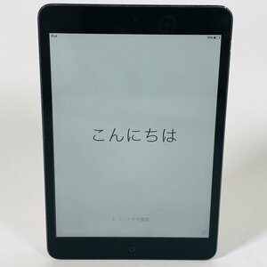 iPad mini 第1世代 Wi-Fiモデル 32GB ブラック＆スレート MD529J/A