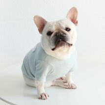 アクアLサイズ◆【残り数枚】犬服 中型犬用 ドッグウェア くまさん ボーダー柄 Tシャツ カットソー 新作 ペット 新品 春 夏 秋 冬 犬用品_画像5