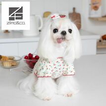 Mサイズ◆【残り数枚】犬服 さくらんぼ柄 チェリー フルーツ柄 通年 トップス シャツ カットソー Tシャツ 新作 新品 ドッグウェア ペット_画像1