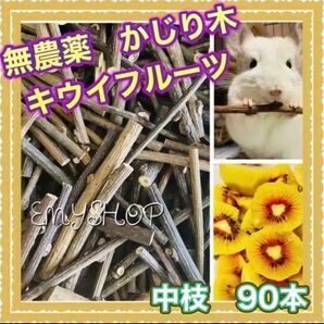 大人気！無農薬　かじり木　キウイフルーツ　中枝　90本