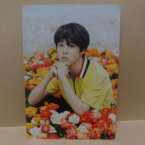  3 BTS 防弾少年団 トレカ フォトカード ミニフォト LOVE YOURSELF japan ジミン JIMIN