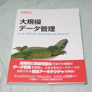 大規模データ管理　エンタープライズアーキテクチャのベストプラクティス Ｐｉｅｔｈｅｉｎ　Ｓｔｒｅｎｇｈｏｌｔ／著　村上列／訳