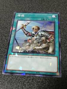 増援　パラレル　DBAD　遊戯王