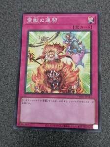 霊獣の連契　スーパーパラレル TW01　　遊戯王