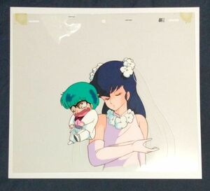  Urusei Yatsura sak Latin cell picture height .. beautiful .