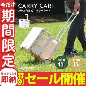 【数量限定セール】キャリーカート 折りたたみ 階段 ワゴン 台車 ショッピングカート 容量45L 大容量 耐荷重35kg キャスター付 フタ付