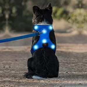 【未使用】光って知らせるドッグハーネス ブルー Mサイズ 犬 お散歩 夜 安全