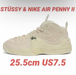 Stussy Nike Air Penny 25.5cm ステューシー ナイキ　エアペニー