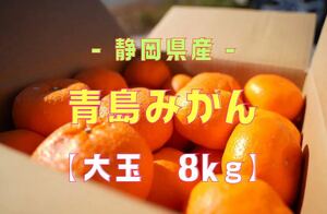 【蔵出し青島みかん】大玉(3L〜4L)・8kg箱満杯詰め【※規格外品】