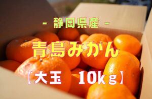 【蔵出し青島みかん】大玉(3L〜4L)・10kg箱満杯詰め【規格外・訳あり】