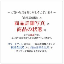 ◎60KN117◎コレクター放出品・古銭 【秋田鍔銭】地方通貨　重さ50.5g　幅48.2mm　厚み3.4mm_画像3