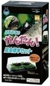 マルカン はじめてのかんたん昆虫標本セット