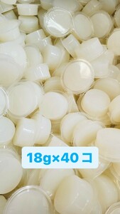 [ free shipping ] KB farm Pro jelly 18g 40 piece original domestic production insect jelly rhinoceros beetle * stag beetle small animals Momo nga hamster hedgehog etc. 