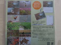 2016年 野鳥カレンダー「BIRDS IN SEASONS日本野鳥の会ポストカードとしても使えます 未開封_画像2