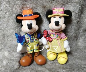 東京ディズニーシー トレイル ぬいぐるみバッジ ミッキー ミニー TDS グリーティングトレイル ぬいば 新品 タグ付き