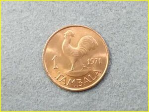 【マラウイ共和国 1タンバラ 硬貨/1971年】 1 TAMBALA/コイン/東アフリカ